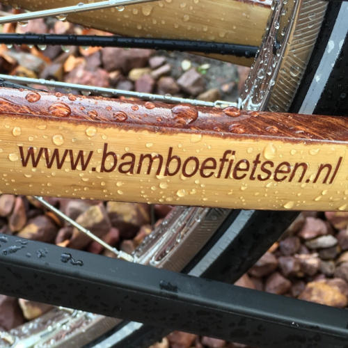 bamboe in de regen bamboefietsen.nl